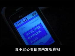 廣告云集看《天下無賊》 數碼產品與數字廣告設計的時代共振