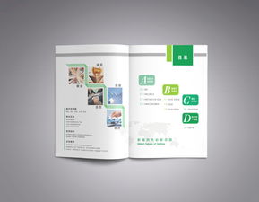 彩瑞數(shù)碼科技 產(chǎn)品畫冊策劃與數(shù)字廣告設(shè)計的創(chuàng)新融合